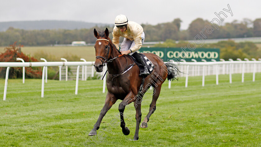 Monica-Sheriff-0006 
 MONICA SHERIFF (Tom Marquand) wins The Thoroughbred Breeders Association Fillies Handicap
Goodwood 25 Sep 2019 - Pic Steven Cargill / Racingfotos.com