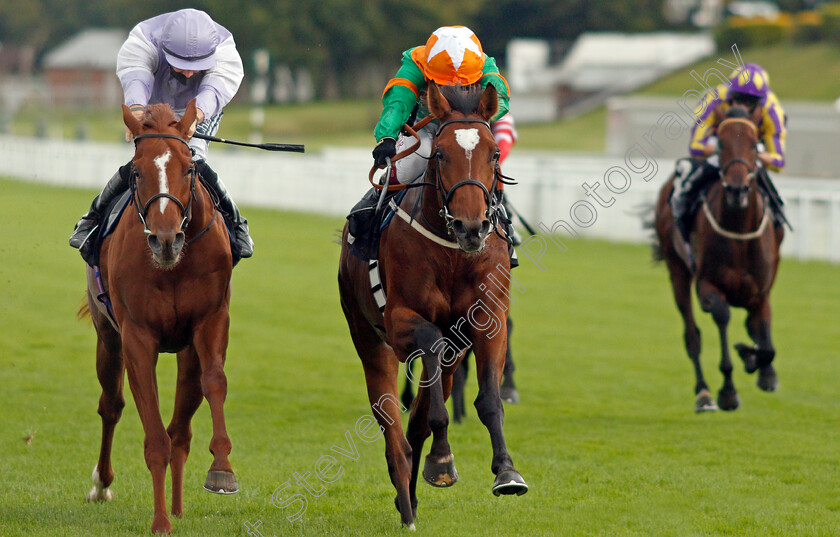 Lone-Eagle-0007 
 LONE EAGLE (centre, Oisin Murphy) beats OMAN (left) in The British Stallion Studs EBF Novice Stakes
Goodwood 28 Aug 2020 - Pic Steven Cargill / Racingfotos.com