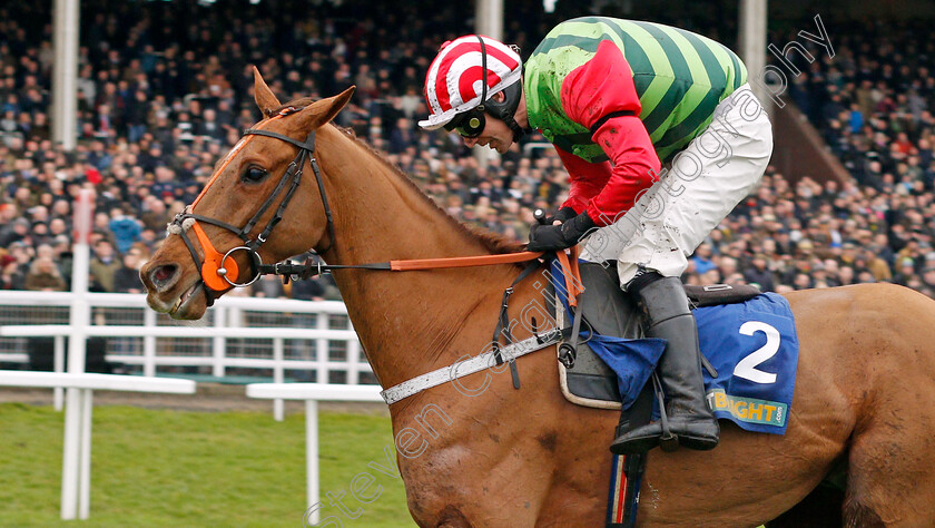 Definitly-Red-0004 
 DEFINITLY RED (Danny Cook) wins The BetBright Trial Cotswold Chase Cheltenham 27 Jan 2018 - Pic Steven Cargill / Racingfotos.com