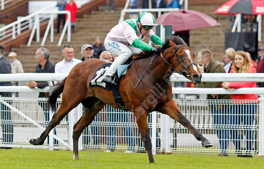 Royal-Scotsman-0007 
 ROYAL SCOTSMAN (Jim Crowley) wins The William Hill Acca Club British EBF Novice Stakes
Goodwood 20 May 2022 - Pic Steven Cargill / Racingfotos.com