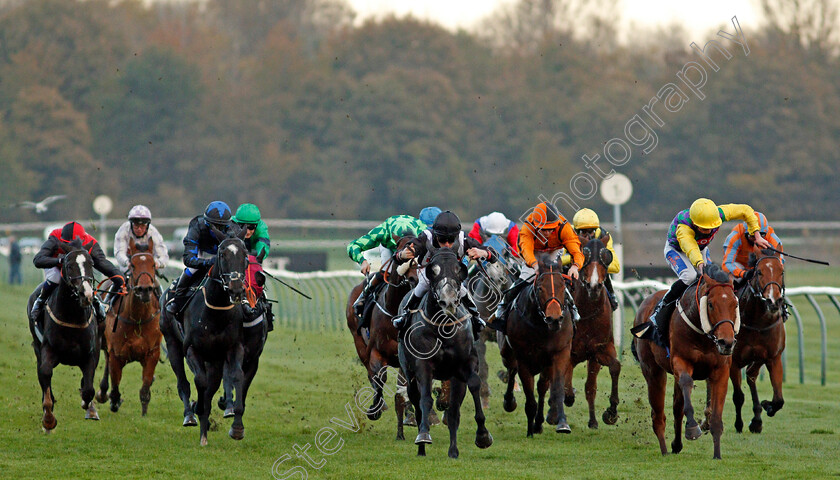 Harry s-Ridge-0001 
 HARRY'S RIDGE (right, Harrison Shaw) beats TOMAHAWK RIDGE (centre) in The Download The Mansionbet App Handicap
Nottingham 4 Nov 2020 - Pic Steven Cargill / Racingfotos.com