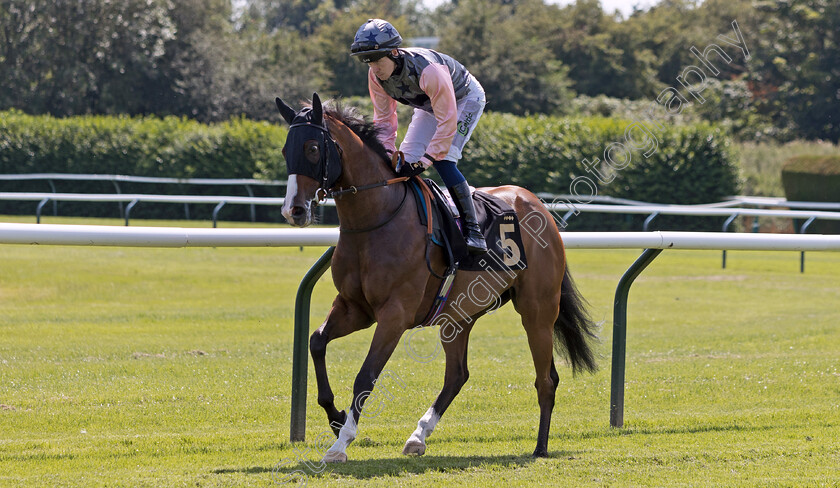 Cooperation-0001 
 COOPERATION (Paddy Bradley)
Nottingham 19 Jul 2024 - Pic Steven Cargill / Megan Dent / Racingfotos.com