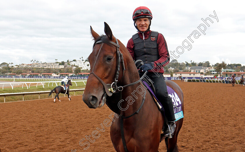 Mendelssohn-0001 
 MENDELSSOHN training for The Breeders' Cup Juvenile Turf at Del Mar 2 Nov 2017 - Pic Steven Cargill / Racingfotos.com