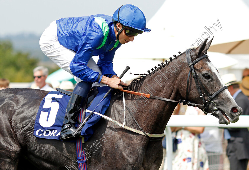 Attila-The-Honey-0002 
 ATTILA THE HONEY (William Buick)
Goodwood 31 Jul 2024 - Pic Steven Cargill / Racingfotos.com