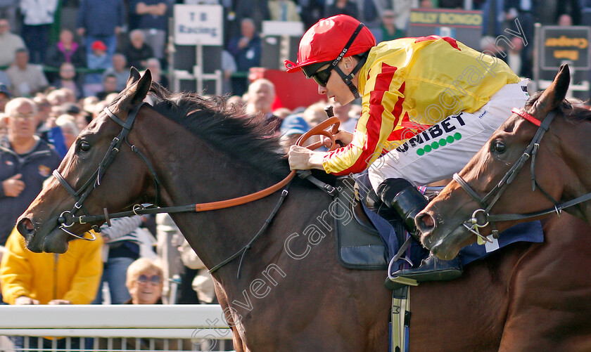 Tiger-Crusade-0008 
 TIGER CRUSADE (Jamie Spencer) wins The British Stallion Studs EBF Novice Stakes
Yarmouth 17 Sep 2019 - Pic Steven Cargill / Racingfotos.com