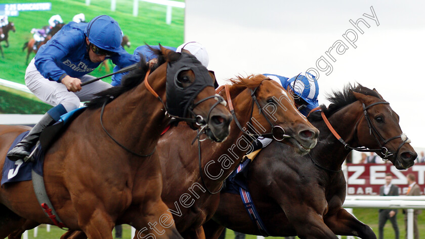 Mustashry-0007 
 MUSTASHRY (right, Jim Crowley) beats DUTCH CONNECTION (centre) and D'BAI (left) in The Alan Wood Plumbing And Heating Park Stakes
Doncaster 15 Sep 2018 - Pic Steven Cargill / Racingfotos.com