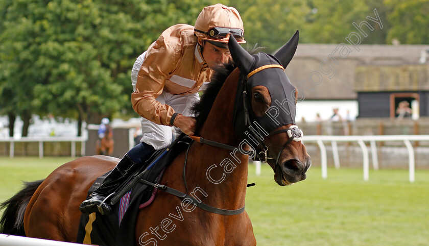 Elegancia-0001 
 ELEGANCIA (William Buick)
Newmarket 29 Jun 2024 - Pic Steven Cargill / Racingfotos.com