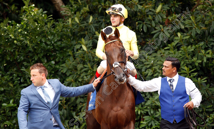 Zabeel-Prince-0001 
 ZABEEL PRINCE (Andrea Atzeni)
Sandown 6 Jul 2019 - Pic Steven Cargill / Racingfotos.com