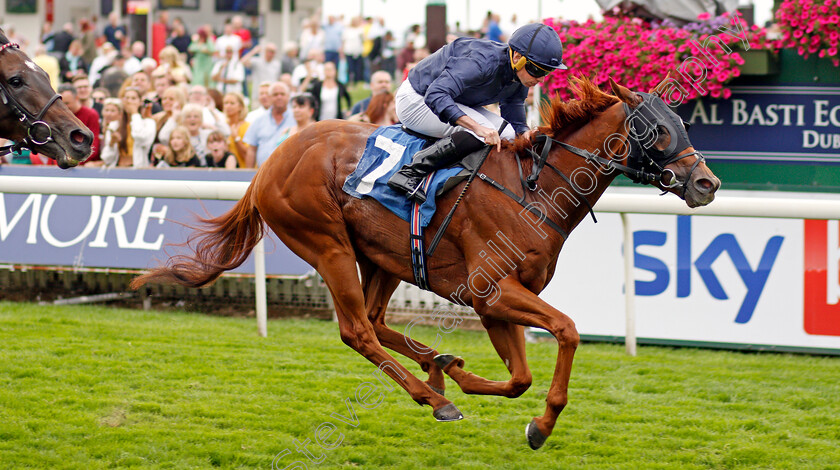 Rifleman-0002 
 RIFLEMAN (Ryan Moore) wins The Sky Bet Mile Handicap
York 20 Aug 2021 - Pic Steven Cargill / Racingfotos.com