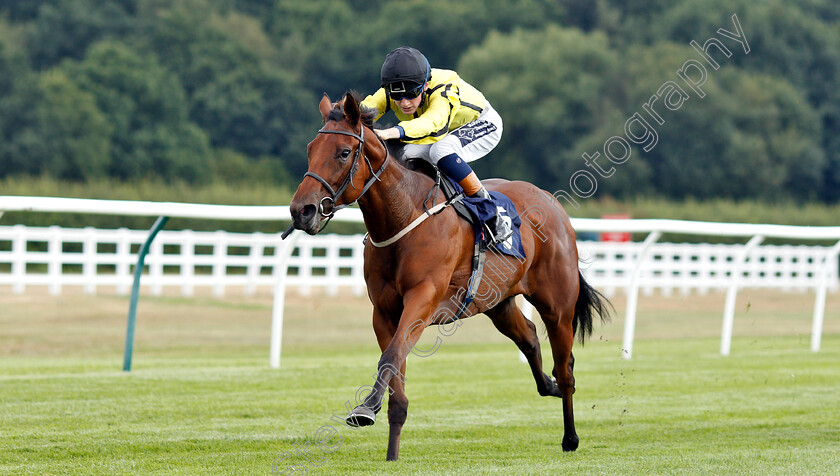 Solesmes-0004 
 SOLESMES (David Egan) wins The 188bet Live Casino Claiming Stakes
Lingfield 25 Jul 2018 - Pic Steven Cargill / Racingfotos.com