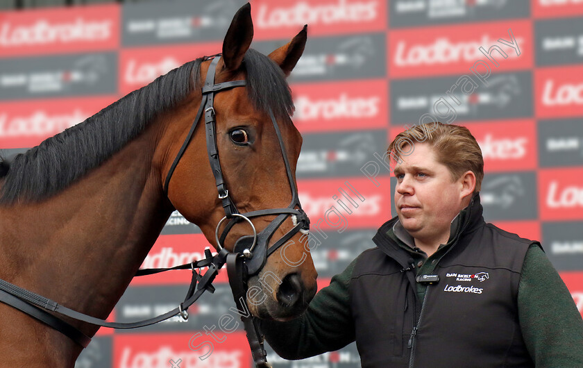 The-New-Lion-and-Dan-Skelton-0001 
 DAN SKELTON with THE NEW LION at Cheltenham Festival preview morning
21 Feb 2025 - Pic Steven Cargill / Racingfotos.com