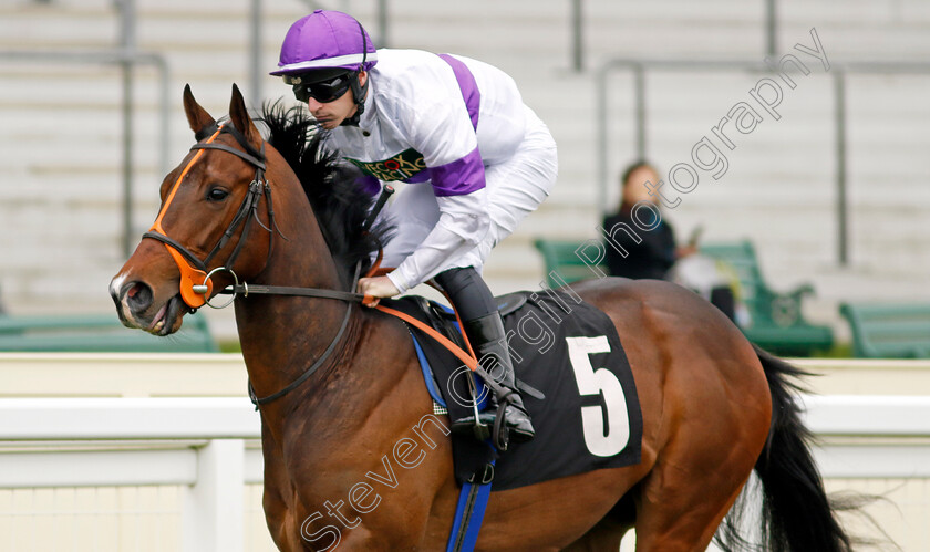 Diligently-0003 
 DILIGENTLY (Richard Kingscote)
Ascot 1 May 2024 - Pic Steven Cargill / Racingfotos.com