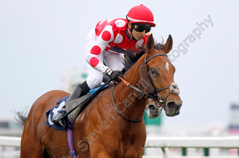 Wynter-Wildes-0001 
 WYNTER WILDES (Mikkel Mortensen) wins The British EBF Premier Fillies Handicap
Yarmouth 20 Sep 2023 - Pic Steven Cargill / Racingfotos.com