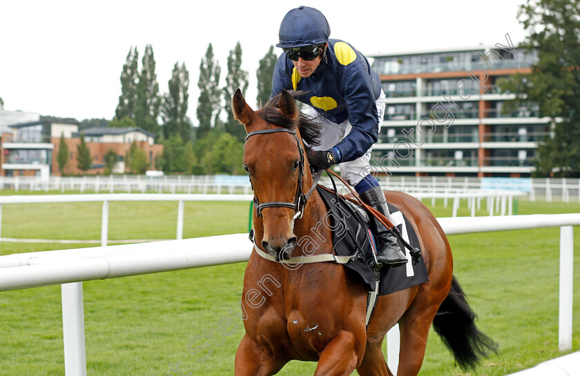 Cotai-Beauty-0001 
 COTAI BEAUTY (Jim Crowley)
Newbury 13 Aug 2021 - Pic Steven Cargill / Racingfotos.com