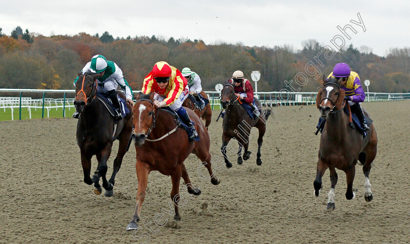 Joegogo-0003 
 JOEGOGO (Fran Berry) beats DOTTED SWISS (left) and INUK (right) in The 32Red Casino Nursery Lingfield 21 Nov 2017 - Pic Steven Cargill / Racingfotos.com