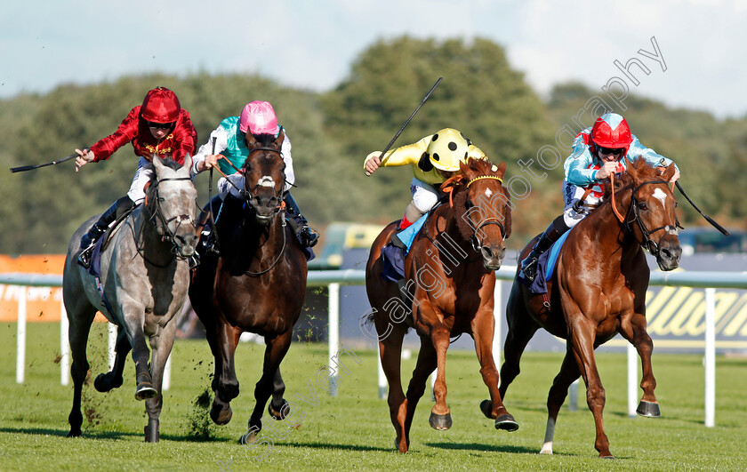 Mount-Logan-0003 
 MOUNT LOGAN (2nd right, Andrea Atzeni) beats RED VERDON (right) MIRAGE DANCER (2nd left) and SUMBAL (left) in The Sports ID Strength In Sport Stakes Doncaster 13 Sep 2017 - pic Steven Cargill / Racingfotos.com