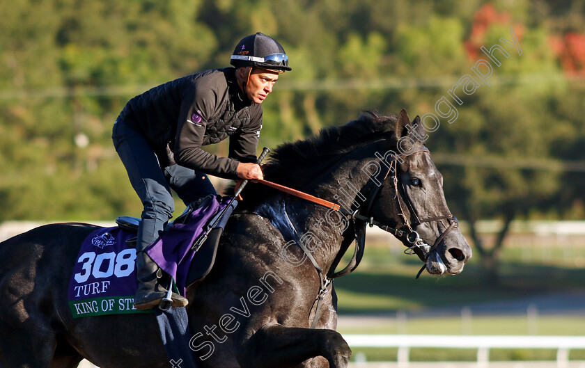 King-Of-Steel-0005 
 KING OF STEEL training for The Breeders' Cup Turf 
Santa Anita USA, 31 October 2023 - Pic Steven Cargill / Racingfotos.com