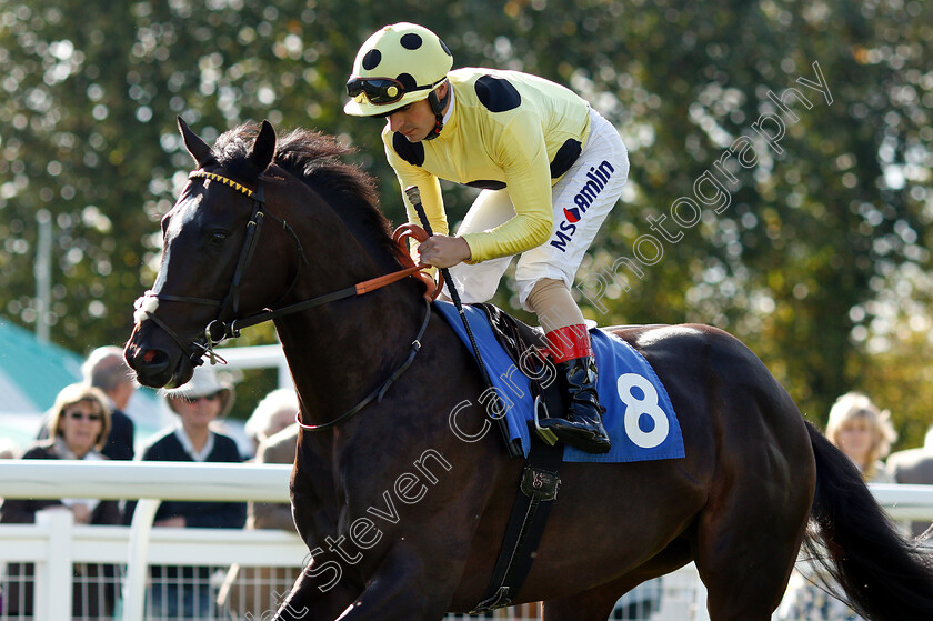 Monsieur-Noir-0001 
 MONSIEUR NOIR (Andrea Atzeni)
Salisbury 3 Oct 2018 - Pic Steven Cargill / Racingfotos.com