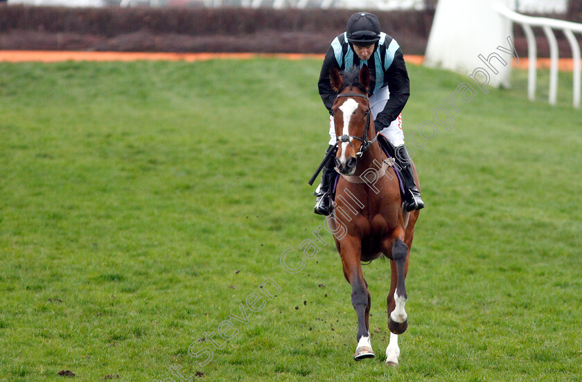 Green-Dolphin-0001 
 GREEN DOLPHIN (Noel Fehily)
Newbury 22 Mar 2019 - Pic Steven Cargill / Racingfotos.com