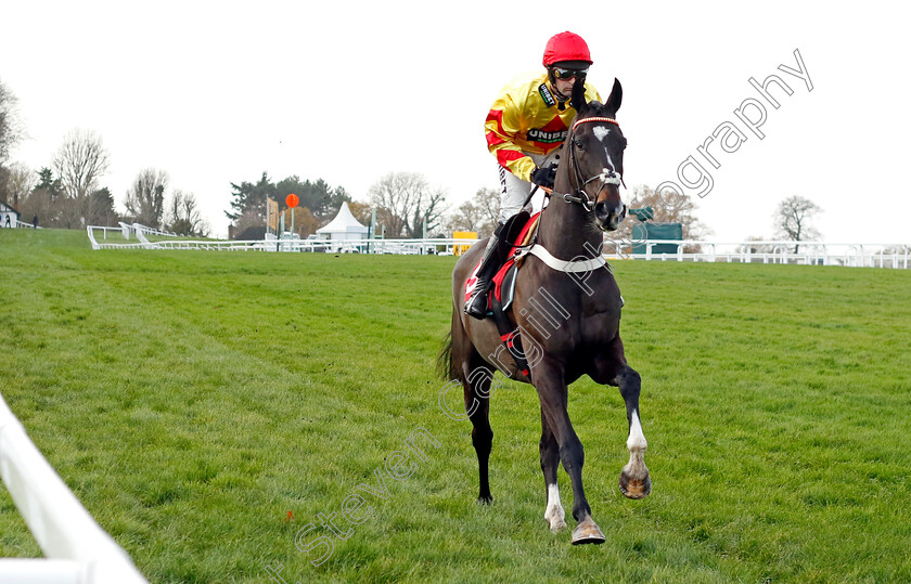 Southoftheborder-0001 
 SOUTHOFTHEBORDER (Nico de Boinville)
Sandown 8 Dec 2023 - Pic Steven Cargill / Racingfotos.com