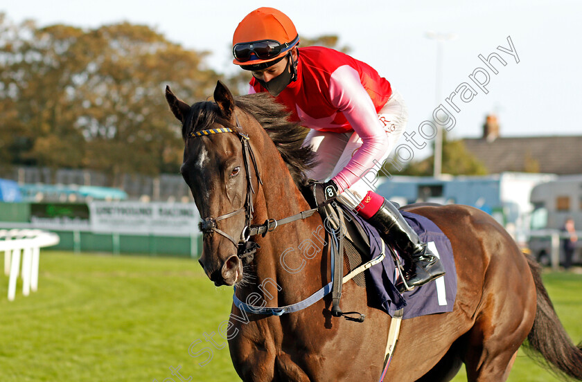 Prince-Casper-0001 
 PRINCE CASPER (Oisin Murphy)
Yarmouth 17 Sep 2020 - Pic Stevn Cargill / Racingfotos.com