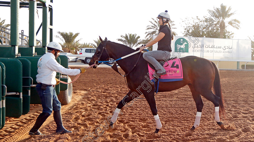 Gunite-0001 
 GUNITE gate schooling ahead of the Riyadh Turf Sprint
King Abdulaziz Racecourse, Kingdom Of Saudi Arabia, 23 Feb 2023 - Pic Steven Cargill / Racingfotos.com