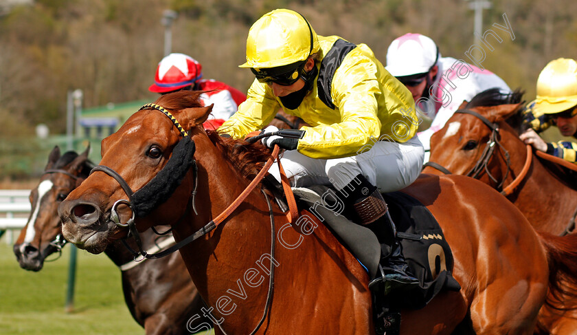 Batraan-0004 
 BATRAAN (Gavin Ashton) wins The Mansionbet Watch And Bet Handicap
Nottingham 7 Apr 2021 - Pic Steven Cargill / Racingfotos.com