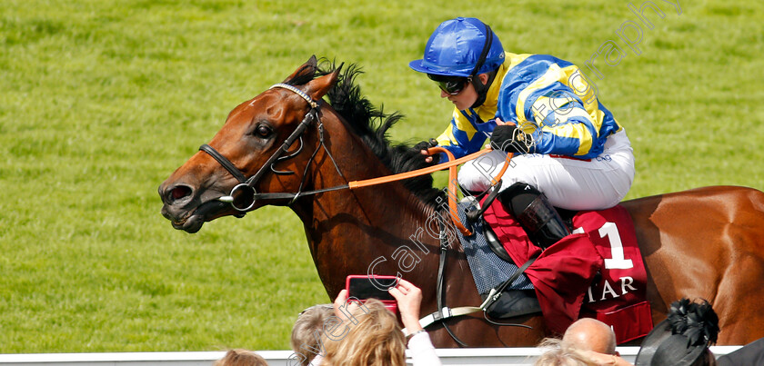 Trueshan-0002 
 TRUESHAN (Hollie Doyle) wins The Al Shaqab Goodwood Cup
Goodwood 27 Jul 2021 - Pic Steven Cargill / Racingfotos.com