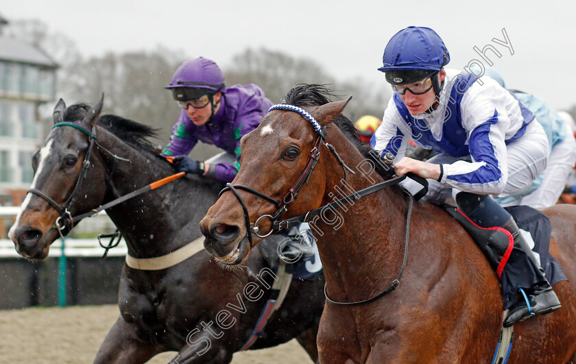 The-Warrior-0005 
 THE WARRIOR (Daniel Muscutt) wins The Bombardier March To Your Own Drum Handicap
Lingfield 15 Feb 2020 - Pic Steven Cargill / Racingfotos.com