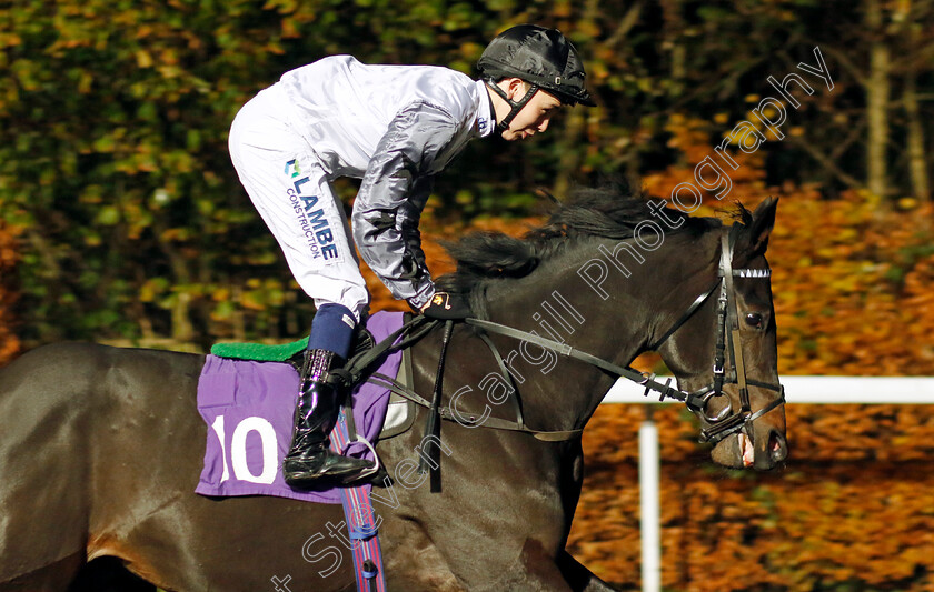 Wide-Margin-0002 
 WIDE MARGIN (Billy Loughnane)
Kempton 6 Dec 2023 - Pic Steven Cargill / Racingfotos.com