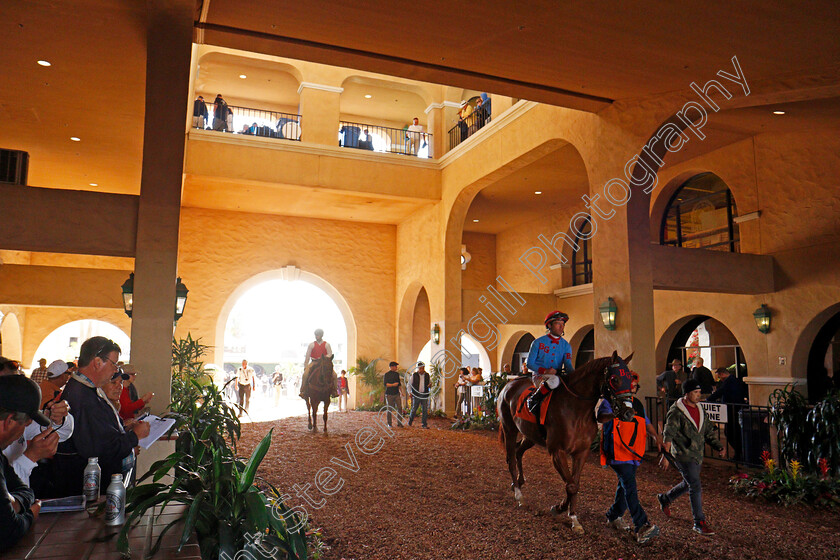 Del-Mar-0005 
 Horses leaving the paddock for a race at Del Mar 2 Nov 2017 - Pic Steven Cargill / Racingfotos.com