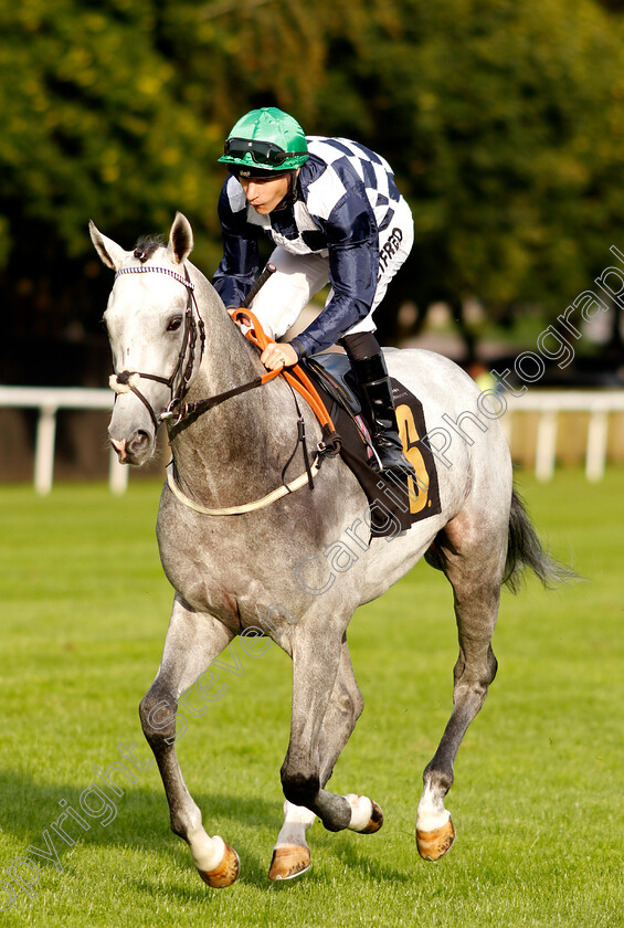 Gordon-Grey-0001 
 GORDON GREY (Richard Kingscote)
Newmarket 28 Jul 2023 - Pic Steven Cargill / Racingfotos.com