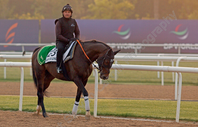 Square-De-Luynes-0002 
 SQUARE DU LUYNES exercising for trainer Niels Petersen
Meydan, Dubai, 3 Feb 2022 - Pic Steven Cargill / Racingfotos.com