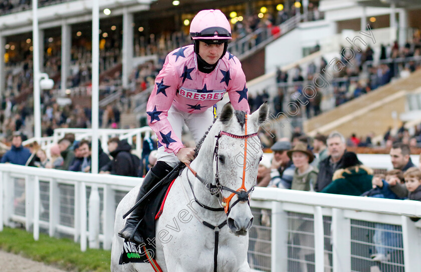 Tintintin-0001 
 TINTINTIN (Jack Hogan)
Cheltenham 17 Nov 2024 - Pic Steven Cargill / Racingfotos.com