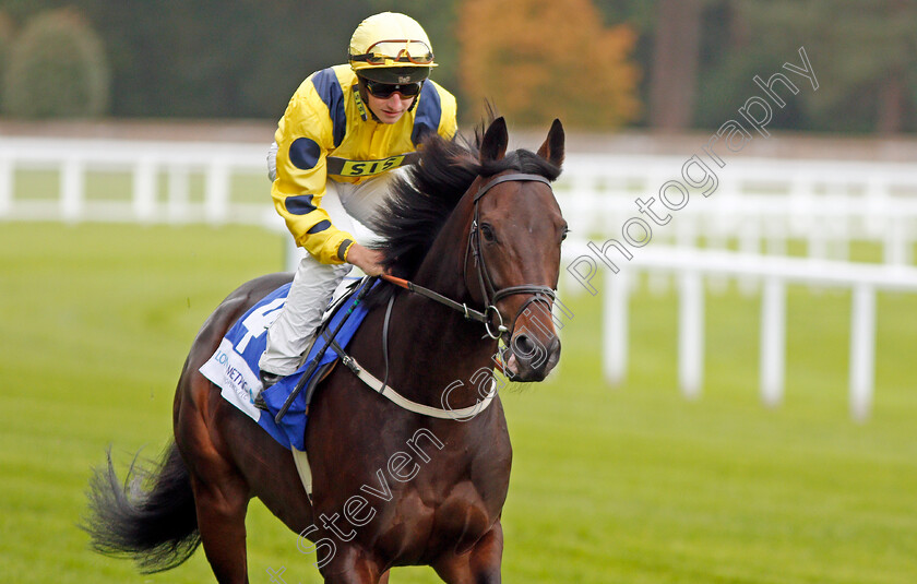 Just-Hubert-0001 
 JUST HUBERT (Tom Marquand)
Ascot 4 Oct 2019 - Pic Steven Cargill / Racingfotos.com