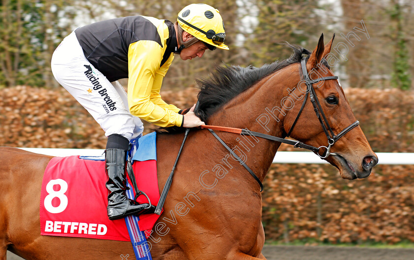 Smart-Call-0002 
 SMART CALL (Jim Crowley) Kempton 7 Apr 2018 - Pic Steven Cargill / Racingfotos.com