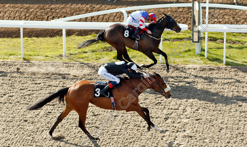 Hic-Bibi-0005 
 HIC BIBI (nearside, David Egan) beats HOLY TIBER (farside) in The Bet toteswinger At totesport.com Handicap
Chelmsford 11 Apr 2019 - Pic Steven Cargill / Racingfotos.com