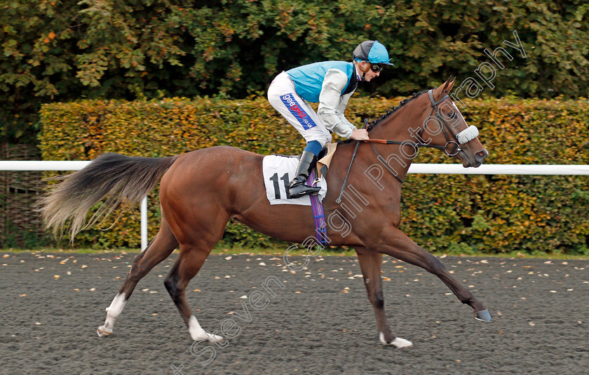 Silver-Swift-0002 
 SILVER SWIFT (David Probert) Kempton 4 Oct 2017 - Pic Steven Cargill / Racingfotos.com