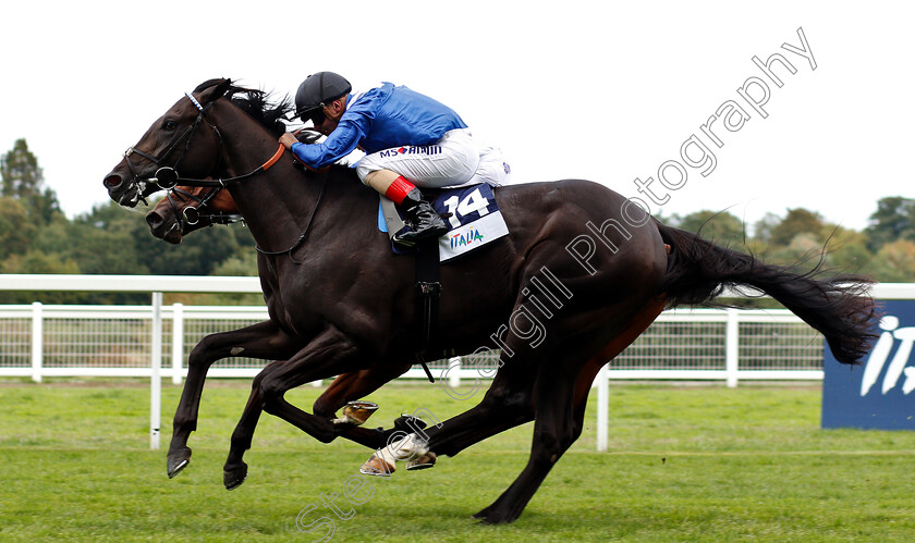 Turjomaan-0004 
 TURJOMAAN (Andrea Atzeni) wins The Italian Tourist Board British EBF Novice Stakes
Ascot 8 Sep 2018 - Pic Steven Cargill / Racingfotos.com