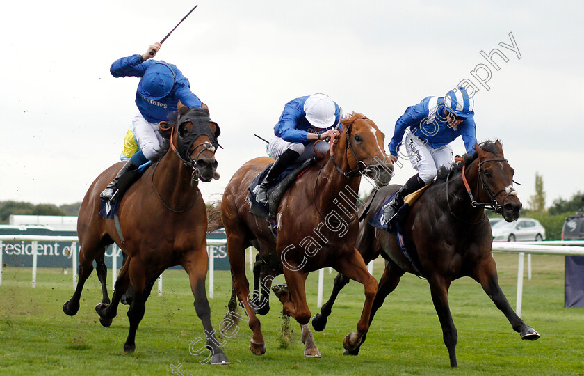 Mustashry-0005 
 MUSTASHRY (right, Jim Crowley) beats DUTCH CONNECTION (centre) and D'BAI (left) in The Alan Wood Plumbing And Heating Park Stakes
Doncaster 15 Sep 2018 - Pic Steven Cargill / Racingfotos.com