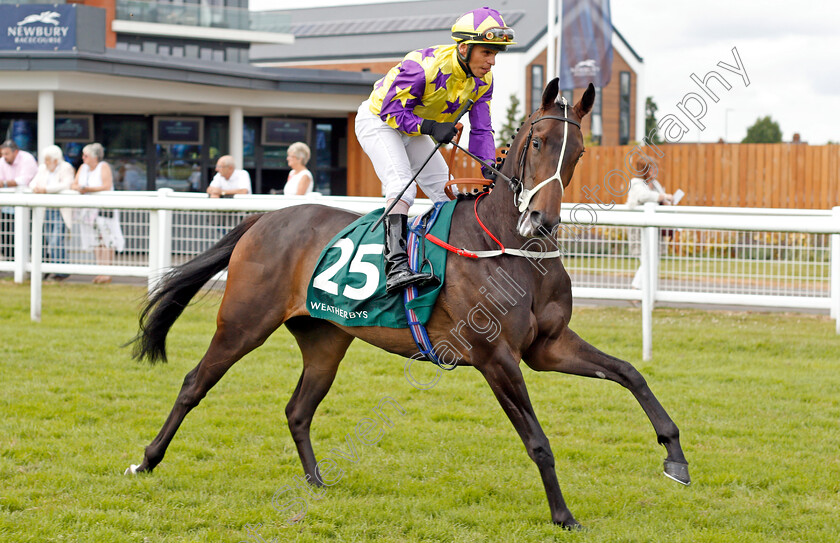 Daddies-Diva-0001 
 DADDIES DIVA (Raul Da Silva)
Newbury 20 Jul 2019 - Pic Steven Cargill / Racingfotos.com