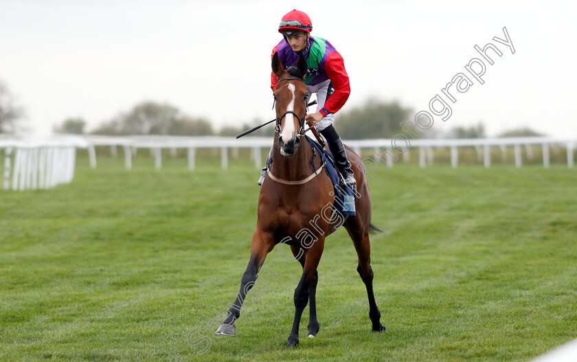 Mistress-Quickly-0001 
 MISTRESS QUICKLY (Harry Bentley)
Bath 17 Oct 2018 - Pic Steven Cargill / Racingfotos.com