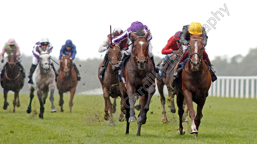 Kew-Gardens-0002 
 KEW GARDENS (left, Donnacha O'Brien) beats STRADIVARIUS (right) in The Qipco British Champions Long Distance Cup
Ascot 19 Oct 2019 - Pic Steven Cargill / Racingfotos.com