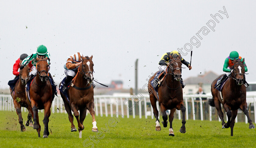 Caspian-Prince-0002 
 CASPIAN PRINCE (2nd left, Tom Marquand) beats TEXTING (left) BLUE DE VEGA (2nd right) and DASCHAS (right) in The Free Tips Daily On attheraces.com Handicap
Yarmouth 16 Sep 2020 - Pic Steven Cargill / Racingfotos.com