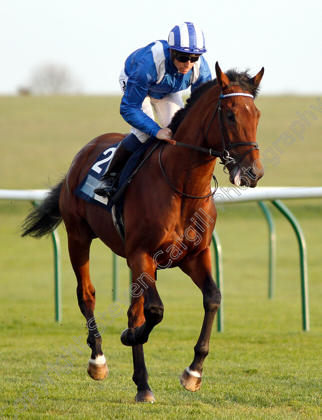 Faylaq-0002 
 FAYLAQ (Jim Crowley)
Newmarket 24 Oct 2018 - Pic Steven Cargill / Racingfotos.com