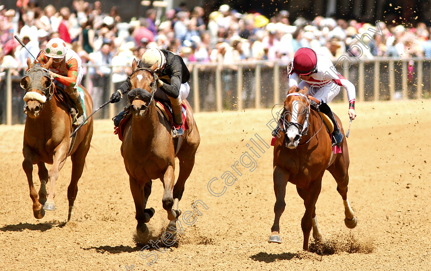 Fleeterthan-0001 
 FLEETERTHAN (right, Joel Rosario) beats CHINA CAT (centre) in Maiden
Pimlico, Baltimore USA, 17 May 2019 - Pic Steven Cargill / Racingfotos.com