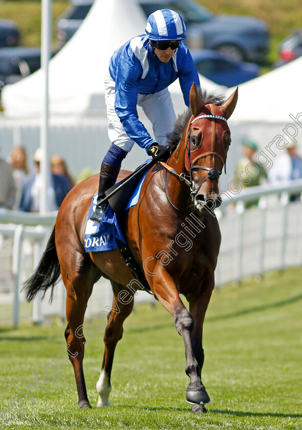 Enfjaar-0001 
 ENFJAAR (Jim Crowley)
Goodwood 30 Jul 2024 - Pic Steven Cargill / Racingfotos.com