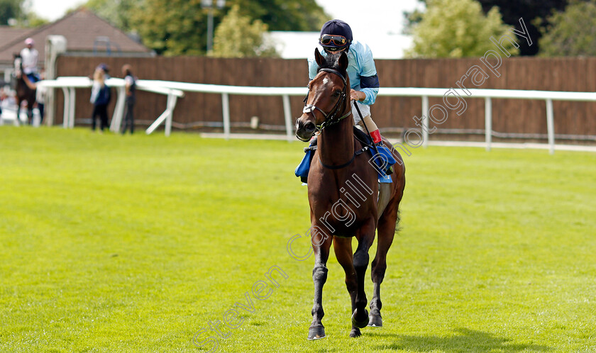 Civilian-0001 
 CIVILIAN (Andrea Atzeni)
Leicester 15 Jul 2021 - Pic Steven Cargill / Racingfotos.com