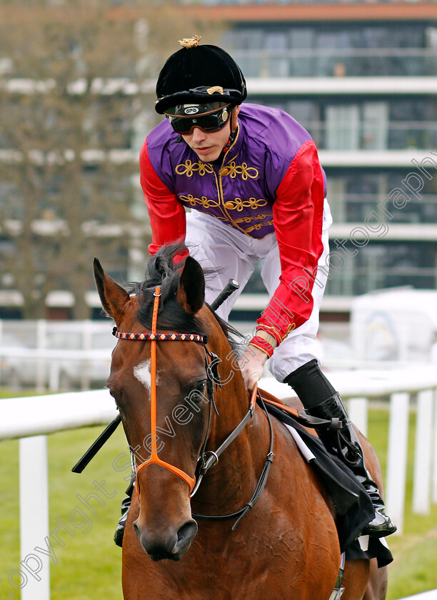 Humbolt-Current-0001 
 HUMBOLT CURRENT (James Doyle) Newbury 21 Apr 2018 - Pic Steven Cargill / Racingfotos.com