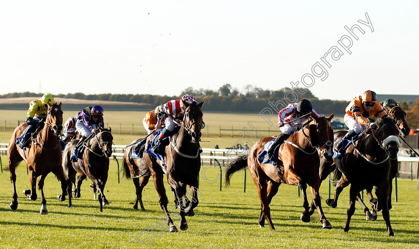 Jazeel-0001 
 JAZEEL (centre, David Egan) beats LITTLE JO (2nd right) and EVERYTHING FOR YOU (right) in The Shadwell Farm Handicap
Newmarket 28 Sep 2018 - Pic Steven Cargill / Racingfotos.com